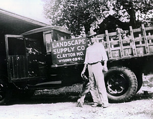 Wood Chips & Mulch Chips in St. Louis